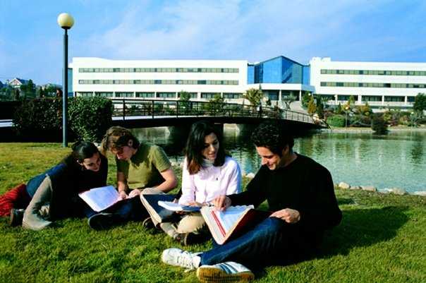 © Universidad Europea de Madrid