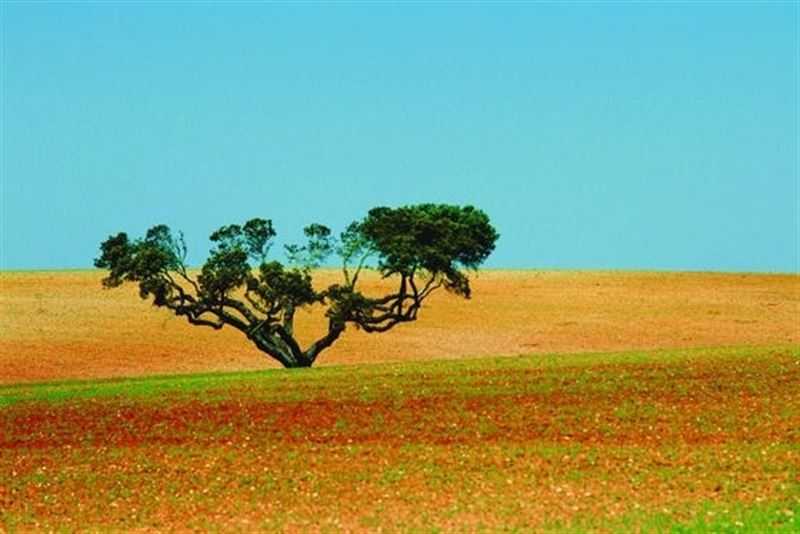 fotonoticia_20140912112820_800