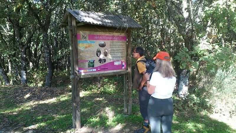 fotonoticia_20141027170836_800