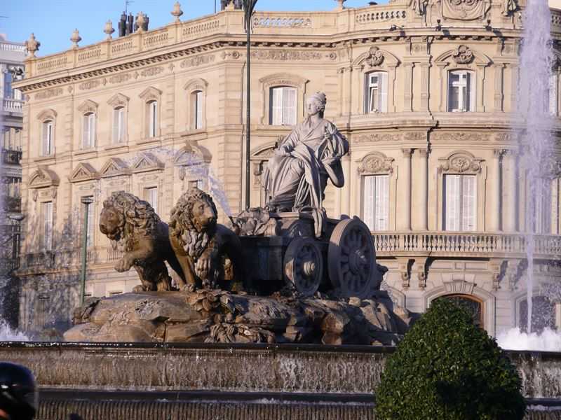 fotonoticia_20151118114936_800