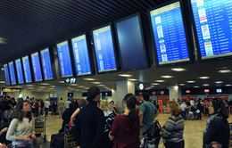 fotonoticia_20151118114936_800