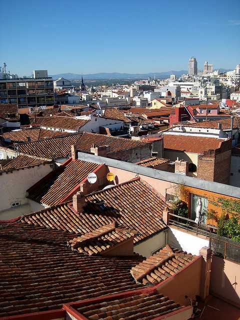 ©the hollidazical wonder