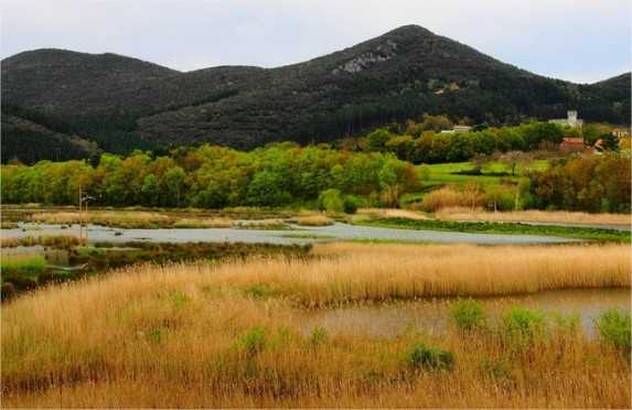 observacion-de-aves-en-urdaibai-hellomyguide-google-chrome