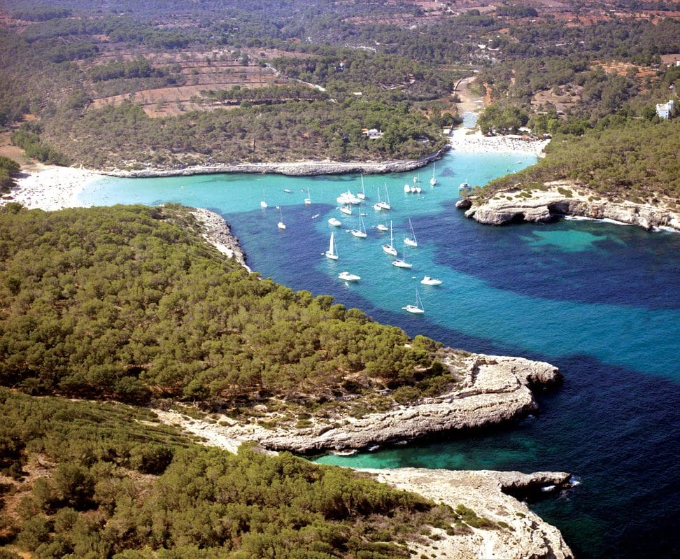 plato-visitasmallorca-visitas-mallorca-15680