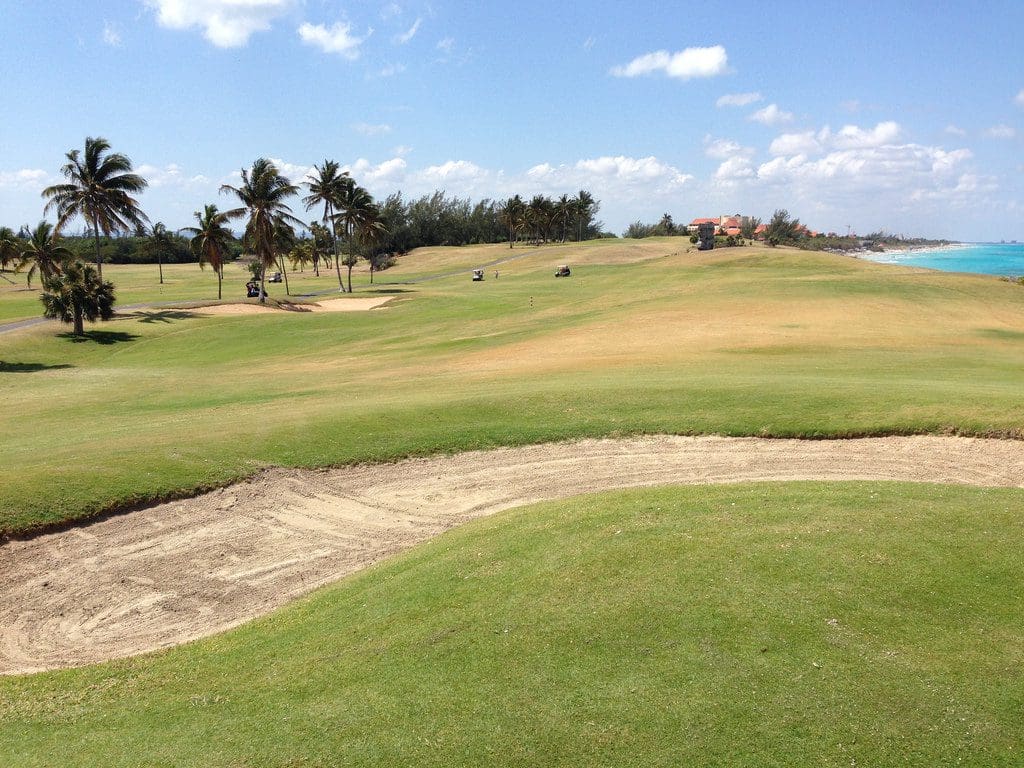 33125397393_526d892f9a_b