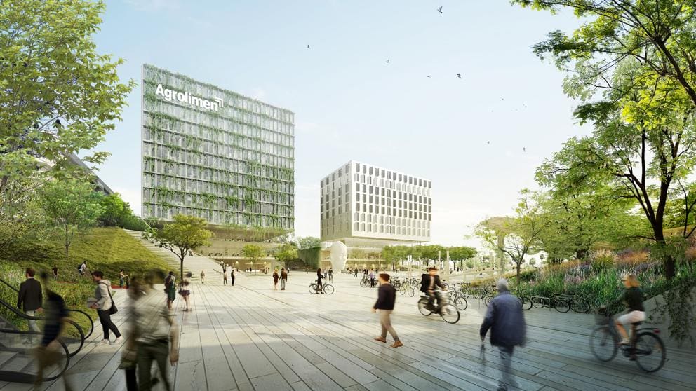 img_rmontilla_20201029-153555_imagenes_lv_terceros_gallina_blanca_perspectiva_02-k8QG-2BTEJ1KTWMPL721G-992x558@LaVanguardia-Web