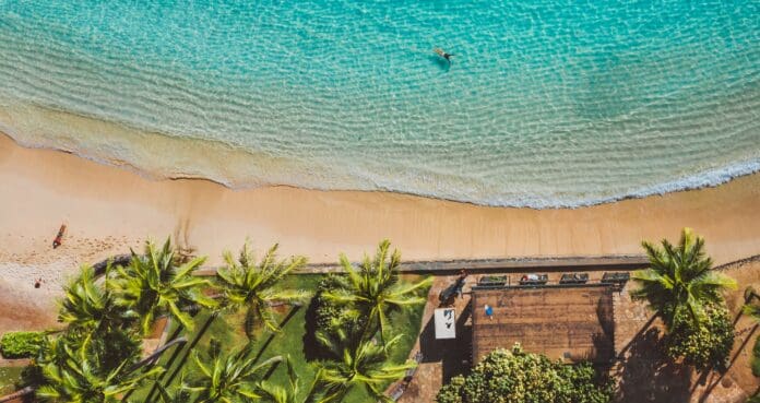 pexels-jess-loiterton-5007562