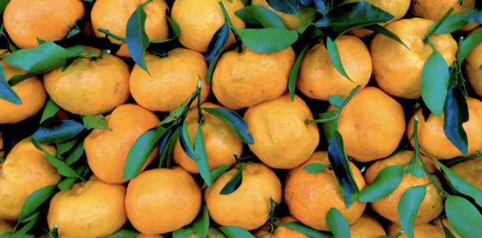 Screenshot-2024-03-18-at-10.27.06