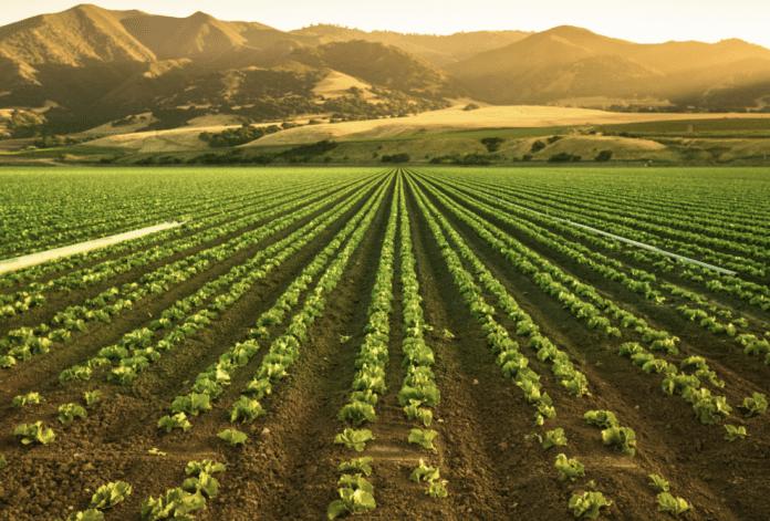 Screenshot-2024-03-25-at-12.18.32