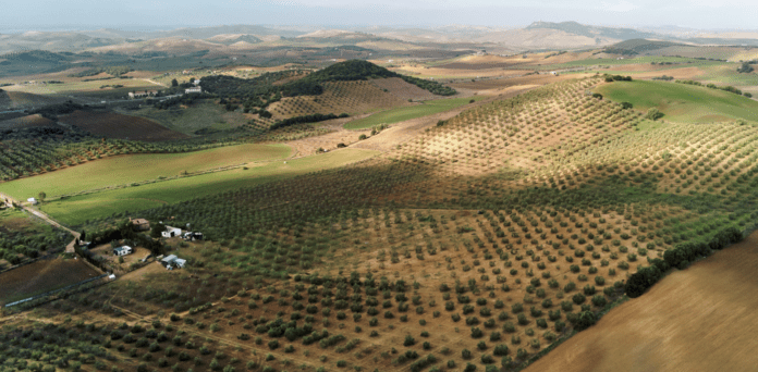 Screenshot-2024-04-01-at-11.10.04