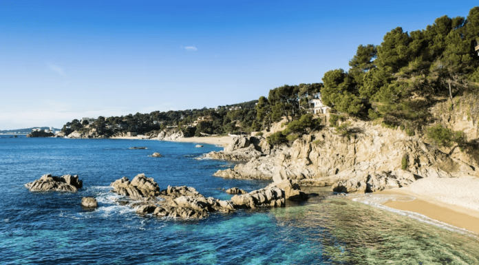 Screenshot-2024-04-03-at-16.49.56