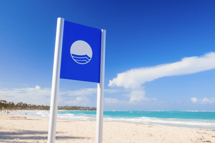 Screenshot-2024-05-09-at-09.46.47