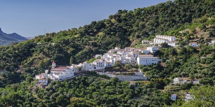 1635418159528genalguacilestandar