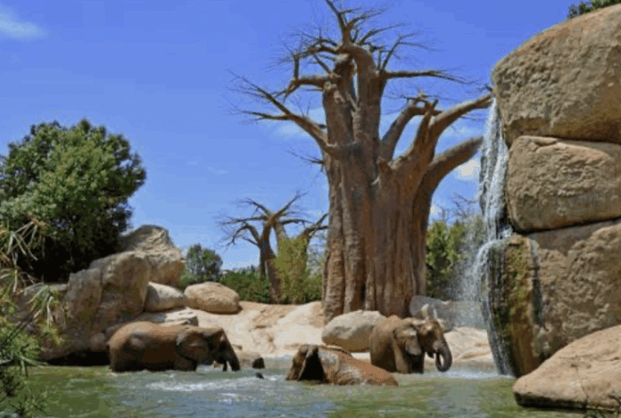 Capture d’écran 2025-05-07 à 10.36.20